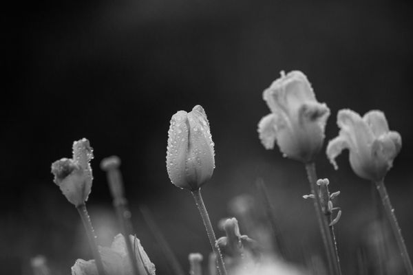 خدمة 24 ساعة